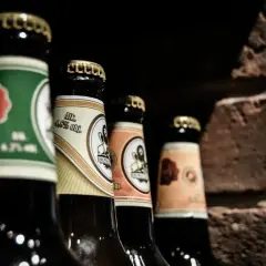 Mehrere Bierflaschen stehen nebeneinander, bereit zum Bier lagern. Die Etiketten zeigen verschiedene Designs und Alkoholprozente.