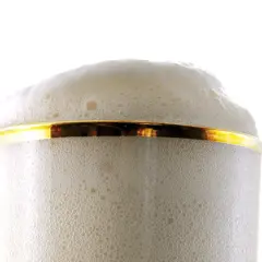 Ein Glas Bier mit reichem Schaum und einem goldenen Rand. Der PH-Wert des Bieres ist perfekt für diesen cremigen Schaum.