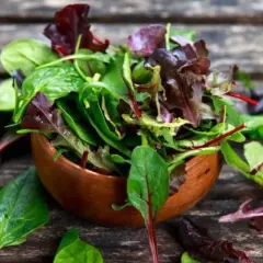 Frischer Salat mit roten Mangoldblättern in einer Holzschale. Perfekt für leichte, gesunde roter mangold rezepte.