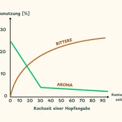 Diagramm zeigt, wie sich Bittere und Aroma bei der Hopfengabe über die Kochzeit verändern. Die Bedeutung von Hopfen für Biergeschmack wird deutlich.