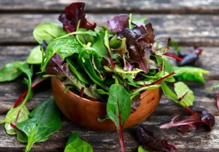 Frischer Salat mit roten Mangoldblättern in einer Holzschale. Perfekt für leichte, gesunde roter mangold rezepte.