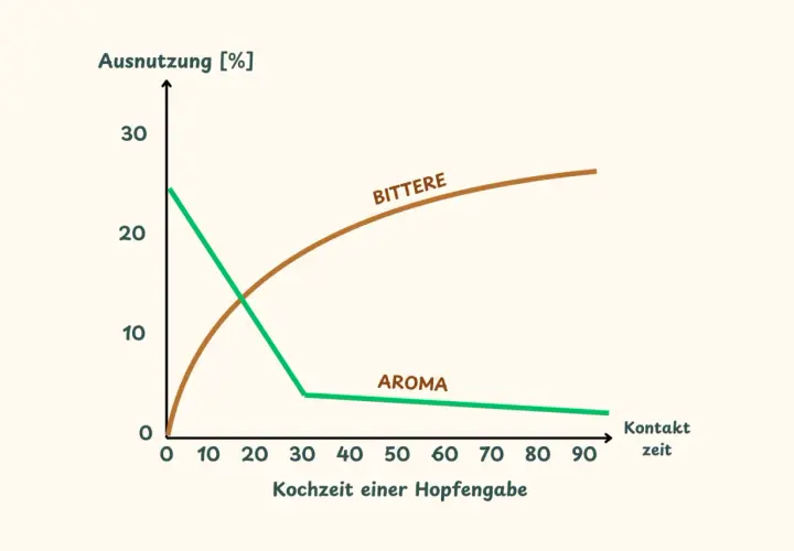 Diagramm zeigt, wie sich Bittere und Aroma bei der Hopfengabe über die Kochzeit verändern. Die Bedeutung von Hopfen für Biergeschmack wird deutlich.