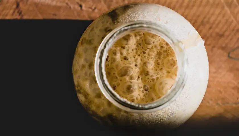 Ein Glas mit schaumigem Sauerteig, der aussieht wie kleine Flocken im Bier.