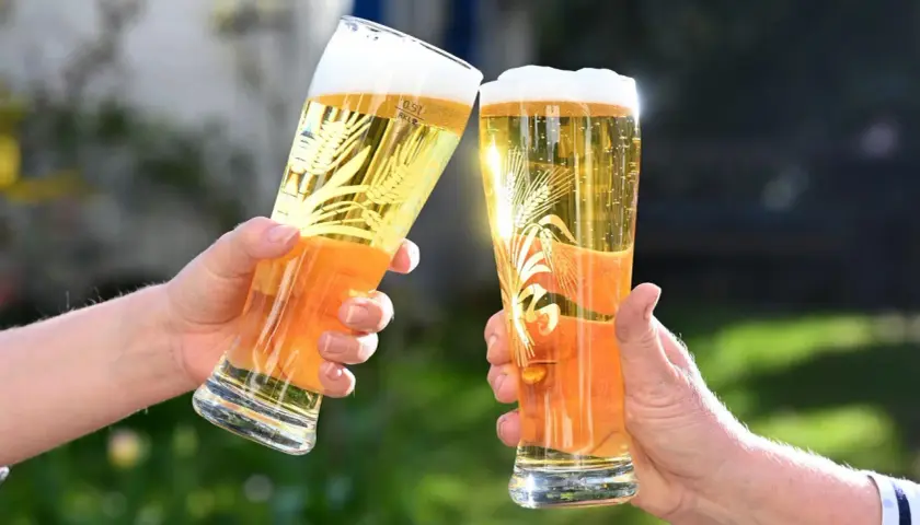 Zwei Hände halten Gläser mit Bier für einen Bier Vergleich. Das goldene Bier mit Schaumkrone und Weizenähren-Dekor glänzt in der Sonne.