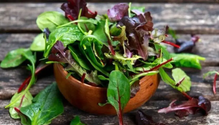 Frischer Salat mit roten Mangoldblättern in einer Holzschale. Perfekt für leichte, gesunde roter mangold rezepte.