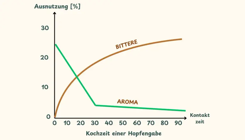 Diagramm zeigt, wie sich Bittere und Aroma bei der Hopfengabe über die Kochzeit verändern. Die Bedeutung von Hopfen für Biergeschmack wird deutlich.