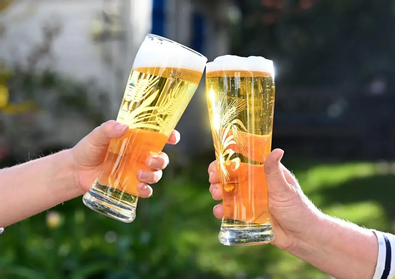 Zwei Hände halten Gläser mit Bier für einen Bier Vergleich. Das goldene Bier mit Schaumkrone und Weizenähren-Dekor glänzt in der Sonne.