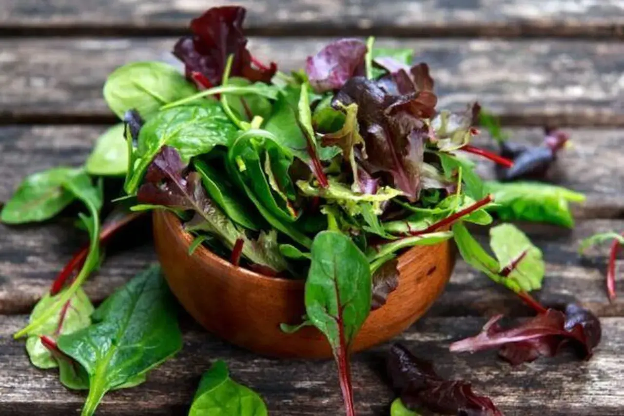 Frischer Salat mit roten Mangoldblättern in einer Holzschale. Perfekt für leichte, gesunde roter mangold rezepte.