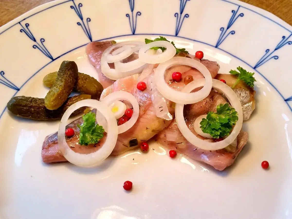 Matjesfilets mit Zwiebelringen, Dill und Gewürzgurken. Ein Gericht, das man auch an Aschermittwoch ohne Fleisch genießen kann.