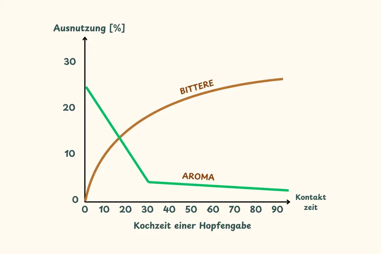 Diagramm zeigt, wie sich Bittere und Aroma bei der Hopfengabe über die Kochzeit verändern. Die Bedeutung von Hopfen für Biergeschmack wird deutlich.