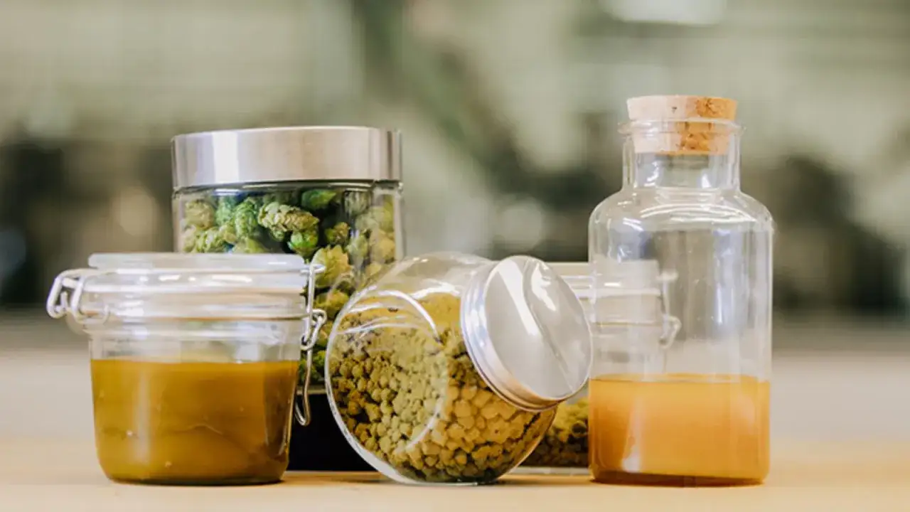 Gl&auml;ser mit Hopfenbl&uuml;ten, Pellets und Fl&uuml;ssigkeit. Die Bedeutung von Hopfen f&uuml;r Bier und mehr wird hier visuell dargestellt.