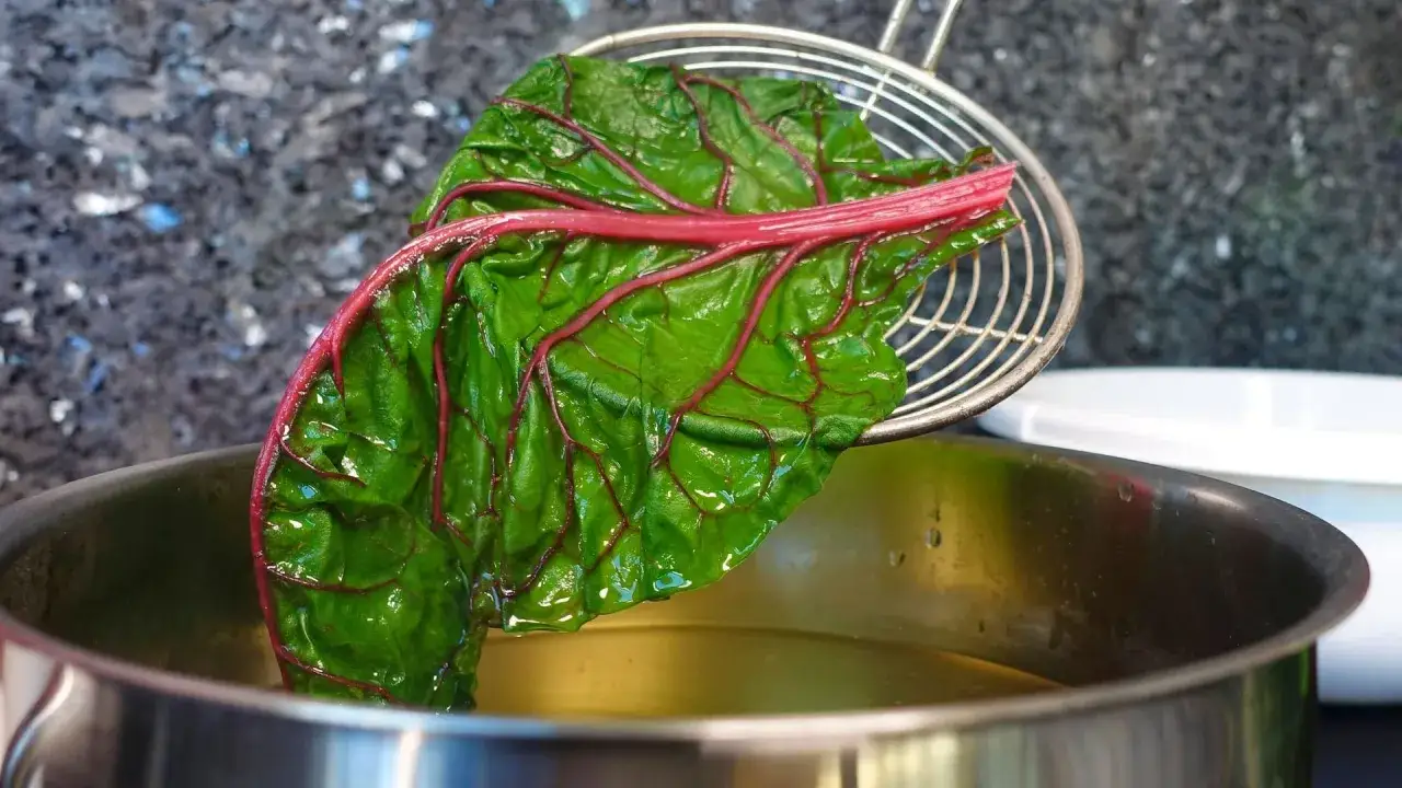 Ein Blatt Mangold mit roten Blattadern wird über einem Topf mit heißem Öl gehalten, bereit zum Mangold zubereiten.